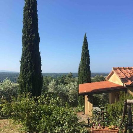 Casa Belvedere -Tranquillita Tra Bosco E Ulivi- Riparbella Eksteriør bilde
