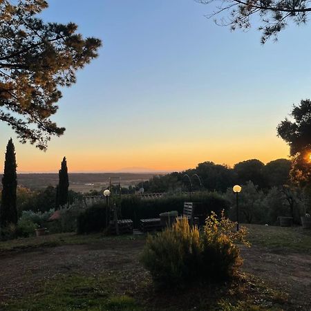 Casa Belvedere -Tranquillita Tra Bosco E Ulivi- Riparbella Eksteriør bilde