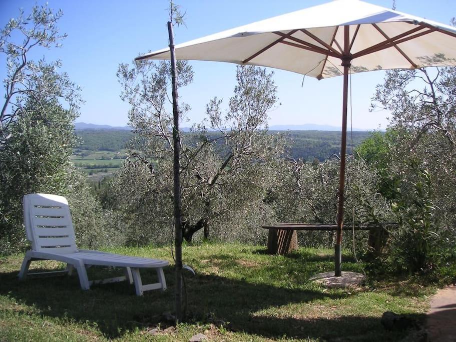 Casa Belvedere -Tranquillita Tra Bosco E Ulivi- Riparbella Eksteriør bilde