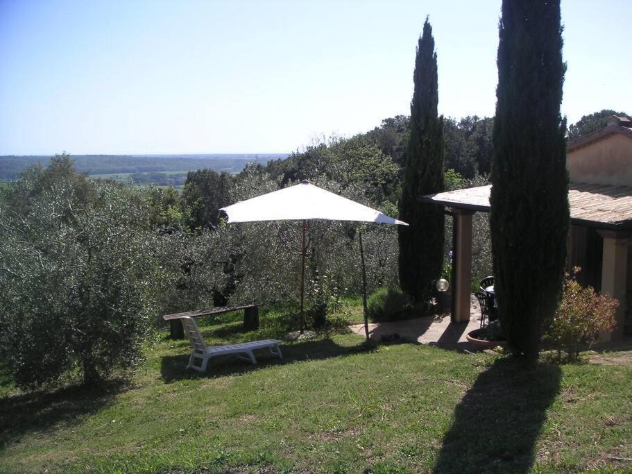 Casa Belvedere -Tranquillita Tra Bosco E Ulivi- Riparbella Eksteriør bilde