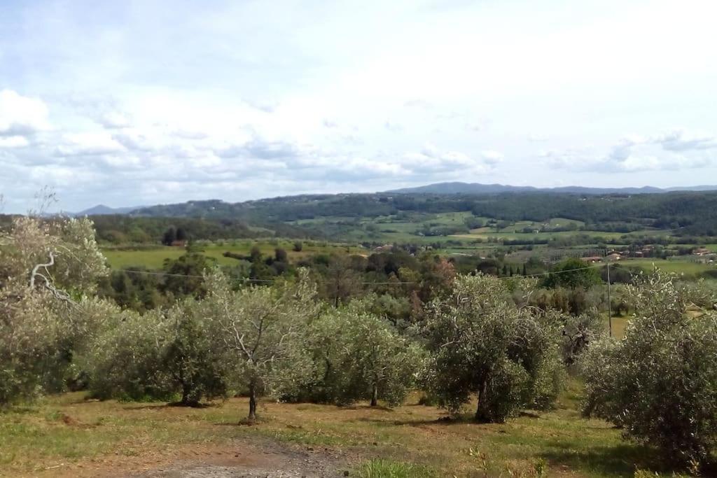 Casa Belvedere -Tranquillita Tra Bosco E Ulivi- Riparbella Eksteriør bilde
