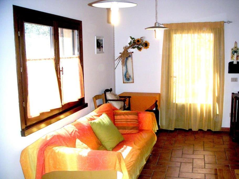 Casa Belvedere -Tranquillita Tra Bosco E Ulivi- Riparbella Eksteriør bilde