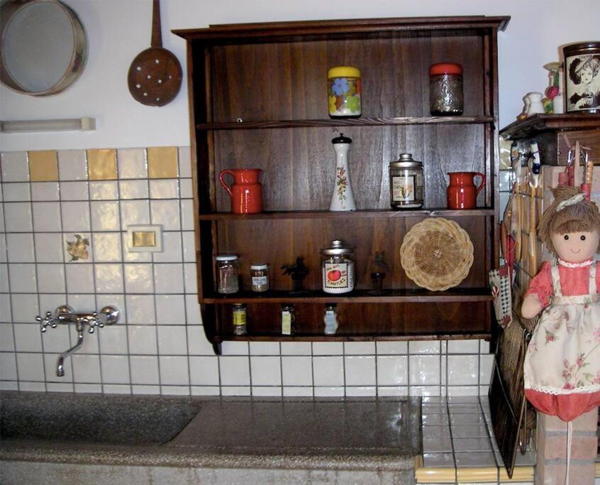 Casa Belvedere -Tranquillita Tra Bosco E Ulivi- Riparbella Eksteriør bilde