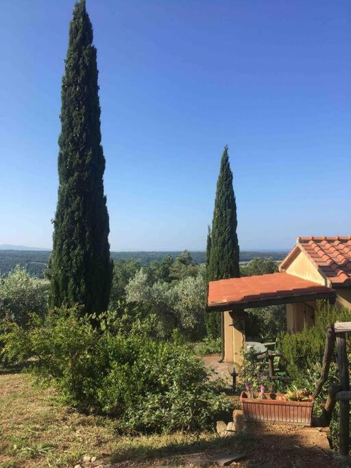 Casa Belvedere -Tranquillita Tra Bosco E Ulivi- Riparbella Eksteriør bilde