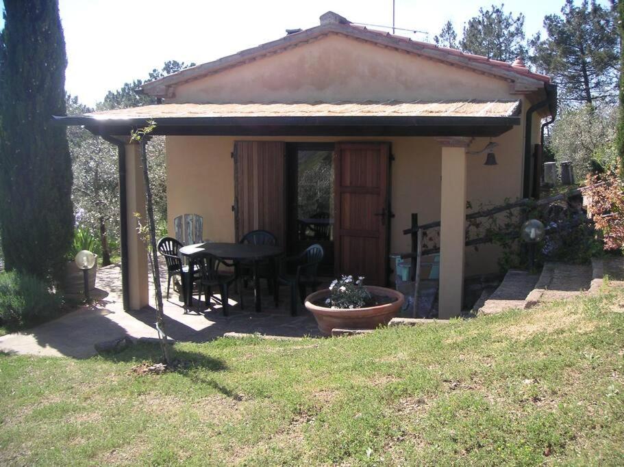 Casa Belvedere -Tranquillita Tra Bosco E Ulivi- Riparbella Eksteriør bilde