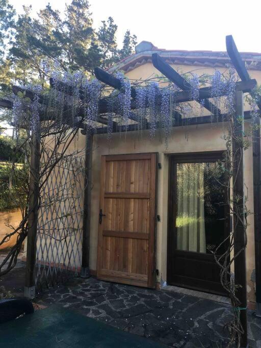 Casa Belvedere -Tranquillita Tra Bosco E Ulivi- Riparbella Eksteriør bilde