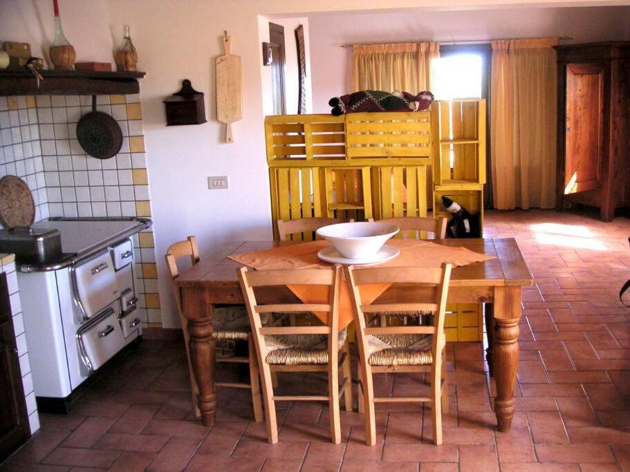Casa Belvedere -Tranquillita Tra Bosco E Ulivi- Riparbella Eksteriør bilde
