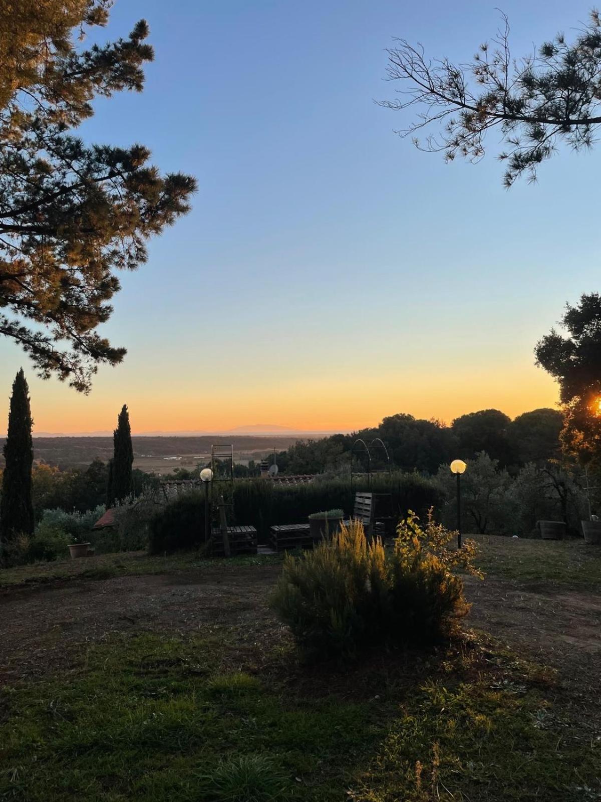Casa Belvedere -Tranquillita Tra Bosco E Ulivi- Riparbella Eksteriør bilde